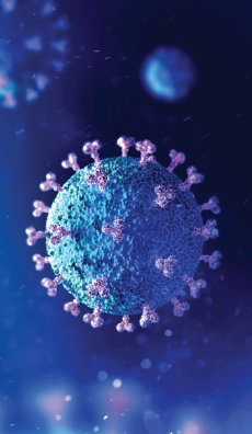 Close up photo of a virus