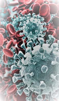 Close up photo of viruses